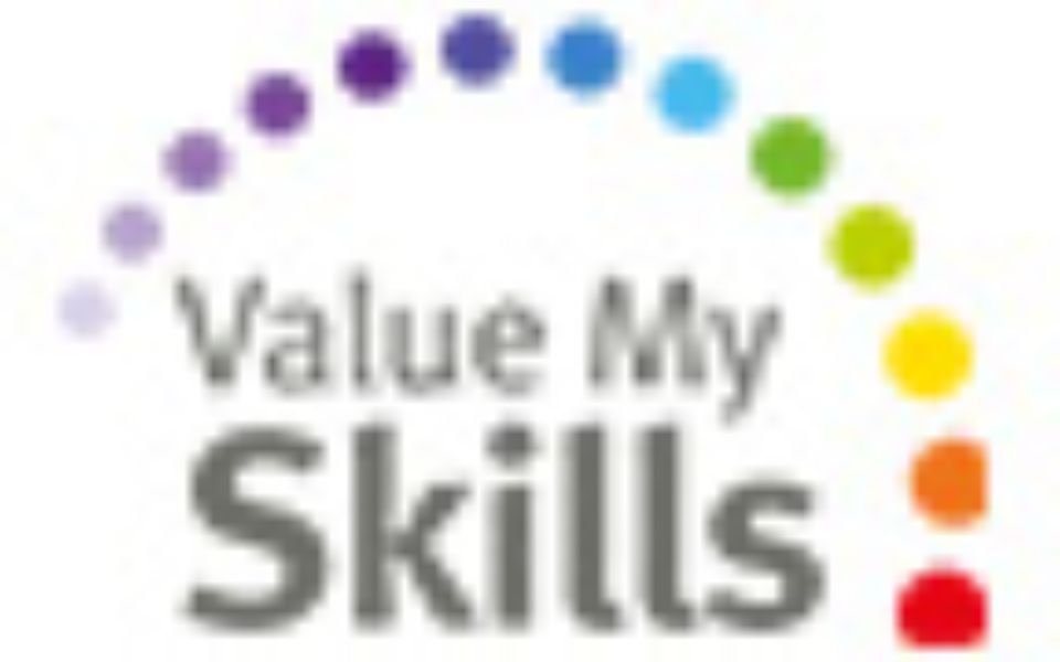 Logo de Value My Skills